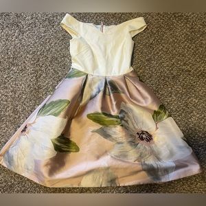 Ted Baker A Line Floral Jacquard Dress with Pockets